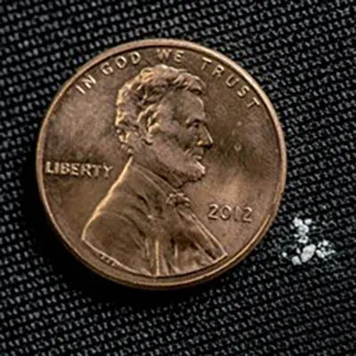 A lethal dose of fentanyl next to a penny (it makes the penny look huge)